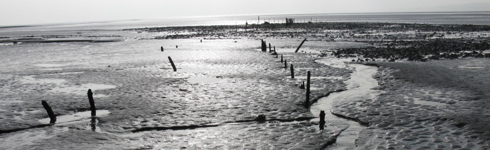 Fish traps near Canon Winder, Morecambe Bay