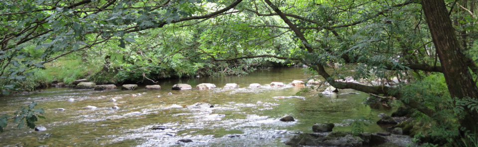 Wordsworth's stepping stones, River Duddon Wordsworth's stepping stones, River Duddon