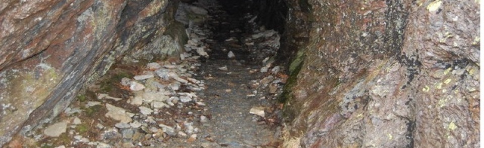 Entrance to Goldscope Mine, Newlands Valley