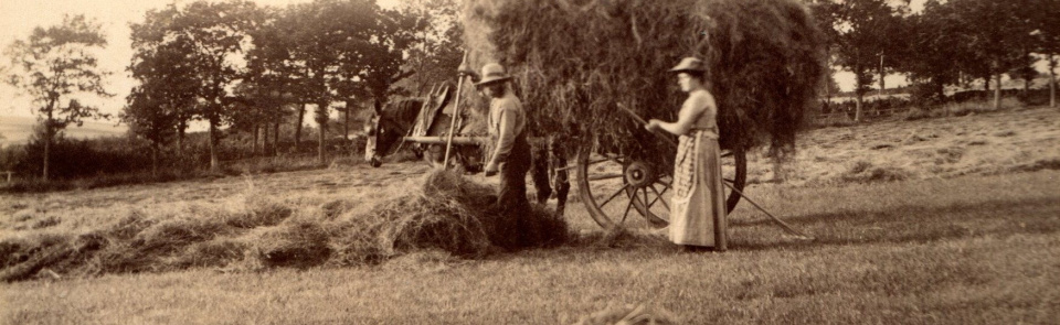Aug Haymaking Frances Mary Peile around 1890 Aug Haymaking Frances Mary Peile around 1890