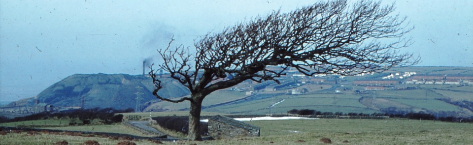 Storm (PLW A90) Storm (PLW A90)