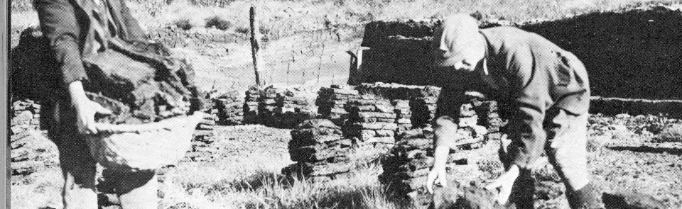 Peat-stacking at Witherslack (Rollinson) Peat-stacking at Witherslack (Rollinson)