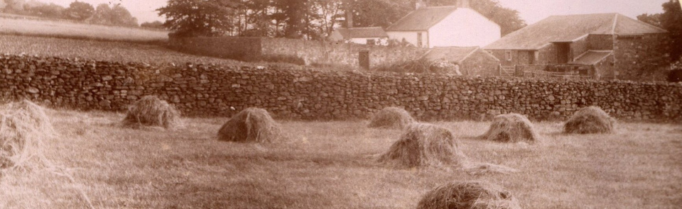 Haycocks Frances Mary Peile around 1890 Haycocks Frances Mary Peile around 1890